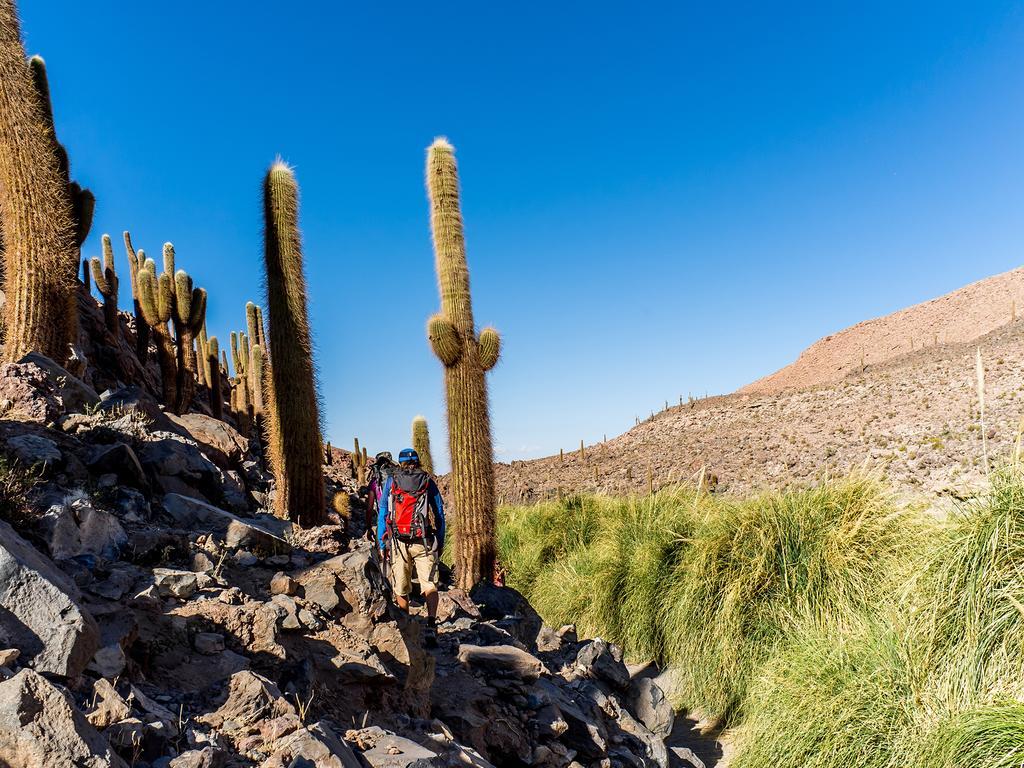 Hotel Noi Casa Atacama San Pedro De Atacama Zewnętrze zdjęcie